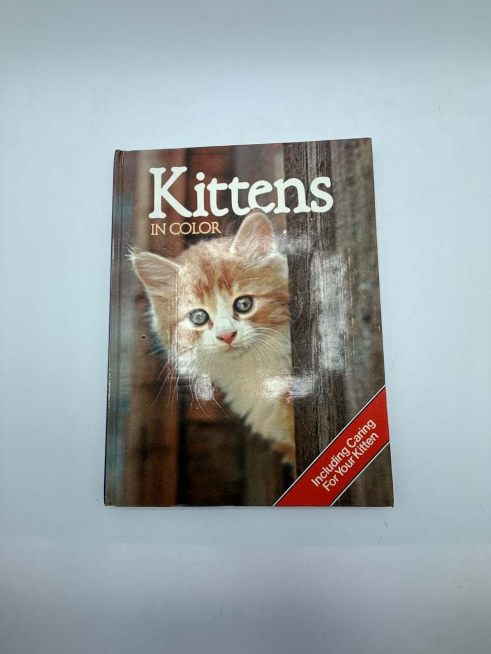 Kittens in Color by Anna Pollard Hardcover Book